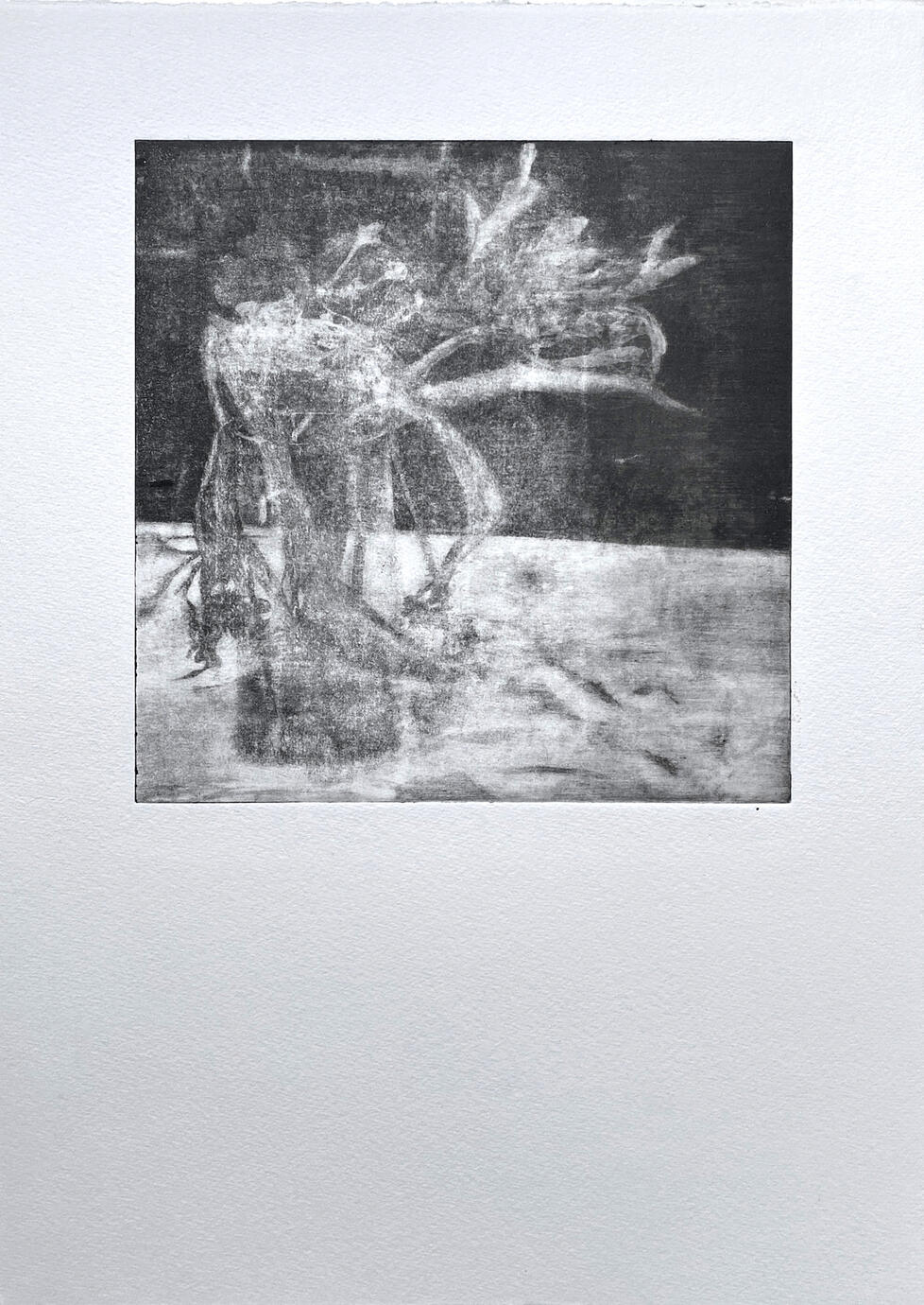 The Flowers — Gravure print, 20 × 20 cm, 2023
