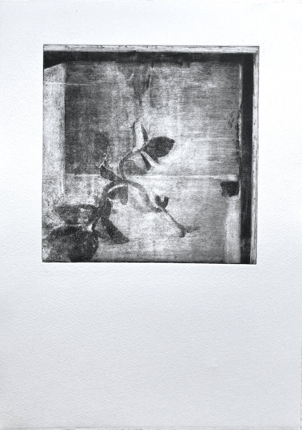 The Flowers — Gravure print, 20 × 20 cm, 2023